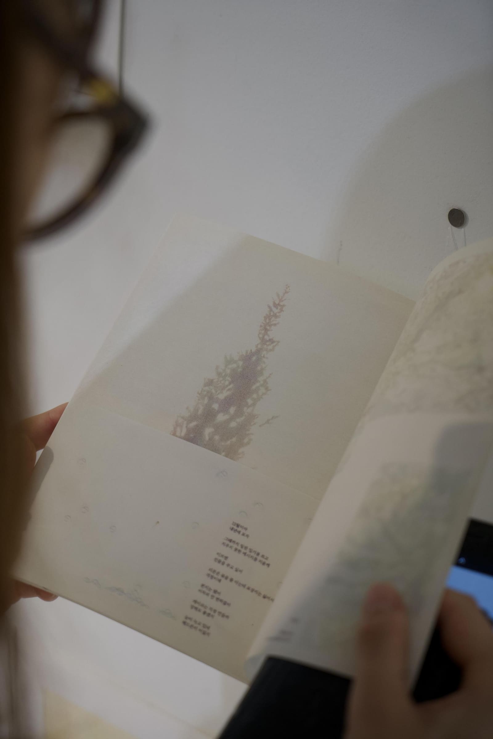 이해선: Warm Up Haesun Lee Solo Exhibition 아카이브