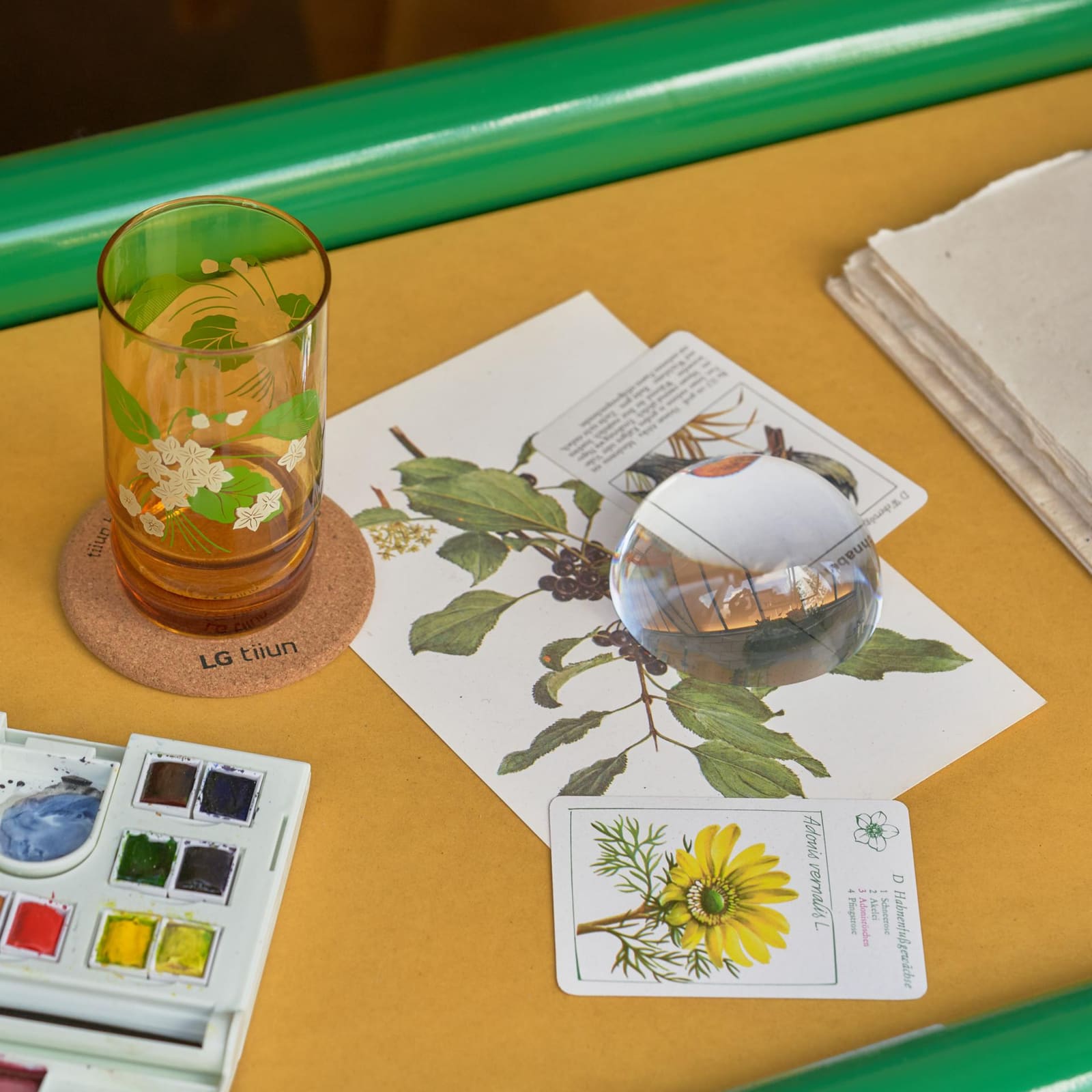 LG TIIUN HAUS: LIFE WITH GREEN 갤러리 2